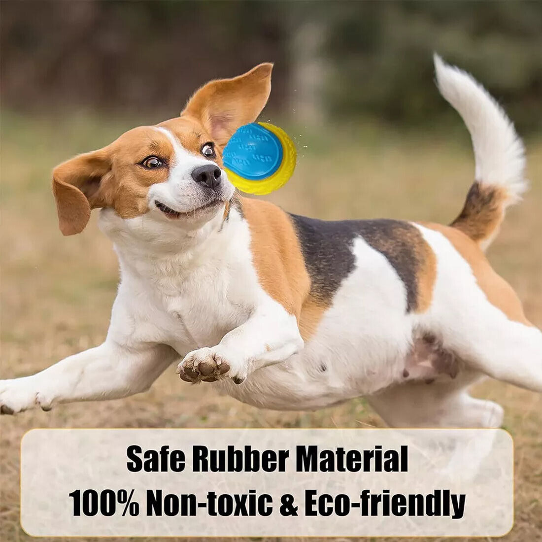 Scooby-Doo Durable Squeaky Set Of 8 Dog Balls For Teeth Cleaning Interactive UK